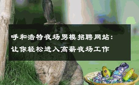 呼和浩特夜场男模招聘网站：让你轻松进入高薪夜场工作 