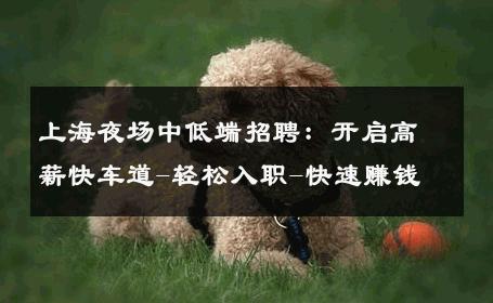 上海夜场中低端招聘：开启高薪快车道-轻松入职-快速赚钱 