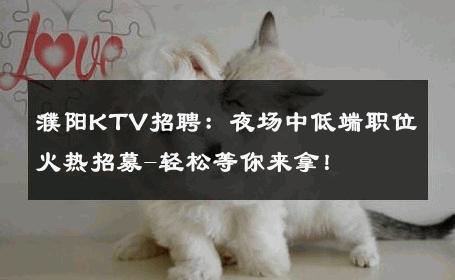 濮阳KTV招聘：夜场中低端职位火热招募-轻松等你来拿！ 