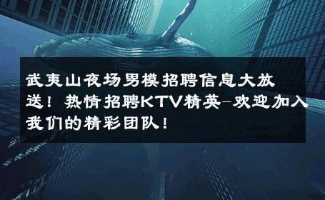 武夷山夜场男模招聘信息大放送！热情招聘KTV精英-欢迎加入我们的精彩团队！ 
