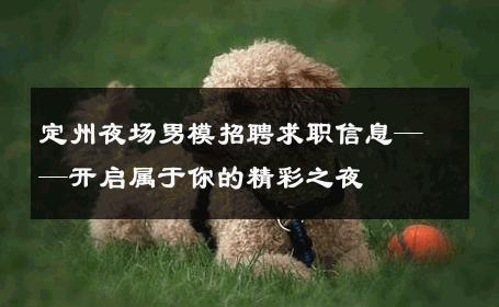 定州夜场男模招聘求职信息——开启属于你的精彩之夜 