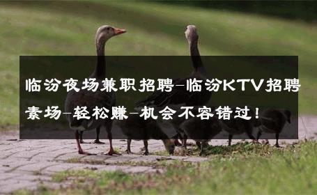 临汾夜场兼职招聘-临汾KTV招聘素场-轻松赚-机会不容错过！ 