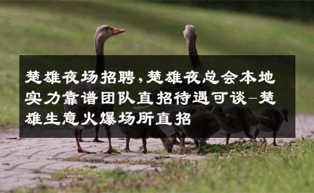楚雄夜场招聘,楚雄夜总会本地实力靠谱团队直招待遇可谈-楚雄生意火爆场所直招