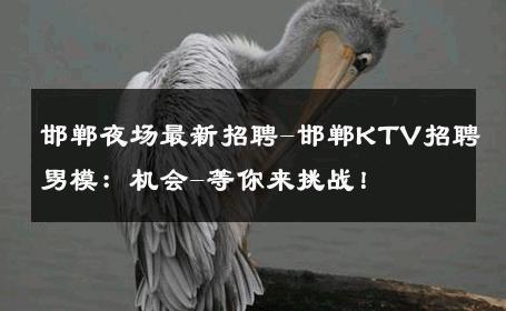 邯郸夜场最新招聘-邯郸KTV招聘男模：机会-等你来挑战！ 