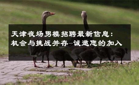 天津夜场男模招聘最新信息：机会与挑战并存-诚邀您的加入 
