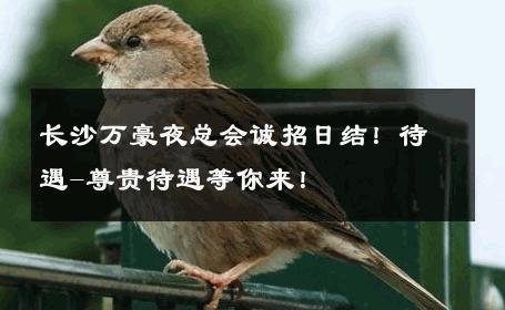 长沙万豪夜总会诚招日结！待遇-尊贵待遇等你来！ 