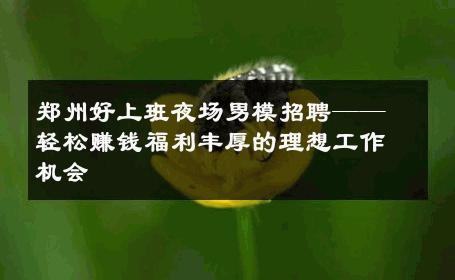 郑州好上班夜场男模招聘——轻松赚钱福利丰厚的理想工作机会 