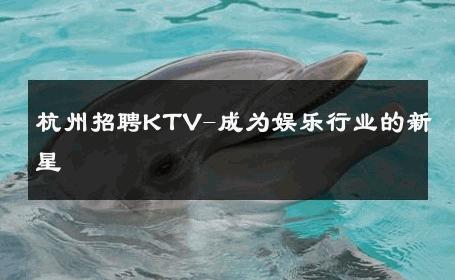 杭州招聘KTV-成为娱乐行业的新星 
