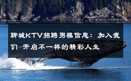 聊城KTV招聘男模信息：加入我们-开启不一样的精彩人生 