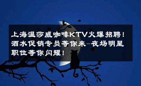 上海温莎威咖啡KTV火爆招聘！酒水促销专员等你来-夜场明星职位等你闪耀！ 