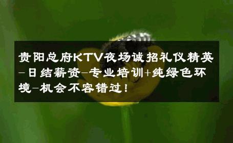 贵阳总府KTV夜场诚招礼仪精英-日结薪资-专业培训+纯绿色环境-机会不容错过！ 