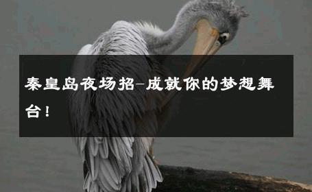 秦皇岛夜场招-成就你的梦想舞台！ 