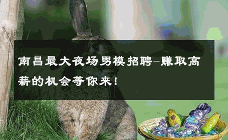 南昌最大夜场男模招聘-赚取高薪的机会等你来！ 