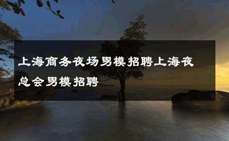 上海商务夜场男模招聘上海夜总会男模招聘 