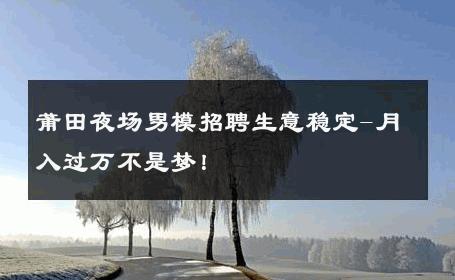 莆田夜场男模招聘生意稳定-月入过万不是梦！ 