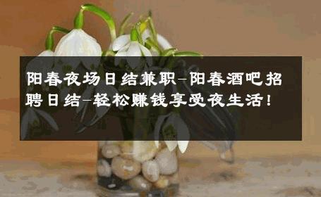 阳春夜场日结兼职-阳春酒吧招聘日结-轻松赚钱享受夜生活！ 