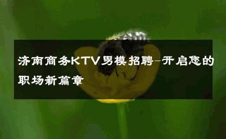 济南商务KTV男模招聘-开启您的职场新篇章 