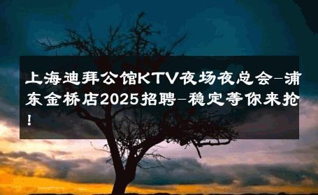 上海迪拜公馆KTV夜场夜总会-浦东金桥店2025招聘-稳定等你来抢！ 