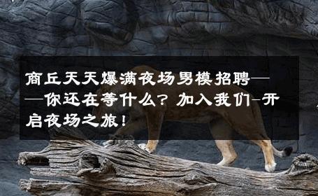 商丘天天爆满夜场男模招聘——你还在等什么？加入我们-开启夜场之旅！ 