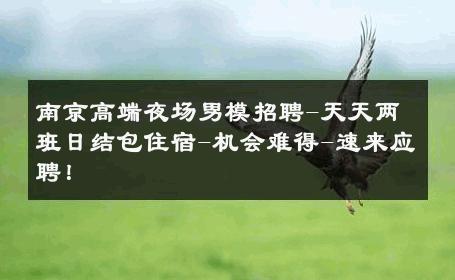 南京高端夜场男模招聘-天天两班日结包住宿-机会难得-速来应聘！ 