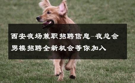 西安夜场兼职招聘信息-夜总会男模招聘全新机会等你加入 