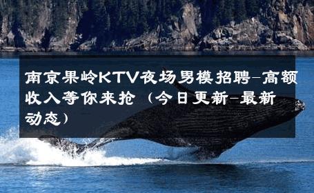 南京果岭KTV夜场男模招聘-高额收入等你来抢（今日更新-最新动态） 