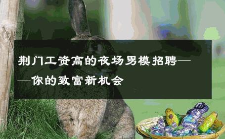 荆门工资高的夜场男模招聘——你的致富新机会 