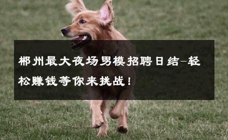 郴州最大夜场男模招聘日结-轻松赚钱等你来挑战！ 