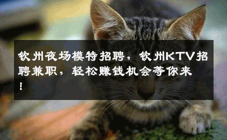 钦州夜场模特招聘，钦州KTV招聘兼职，轻松赚钱机会等你来！