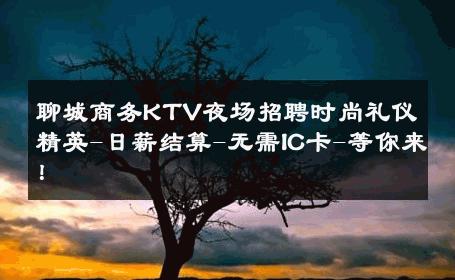 聊城商务KTV夜场招聘时尚礼仪精英-日薪结算-无需IC卡-等你来！ 