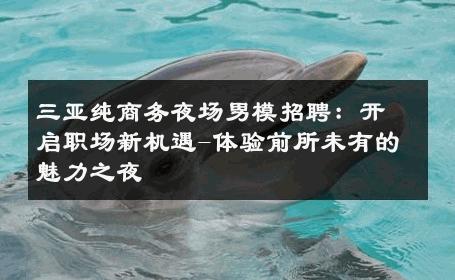 三亚纯商务夜场男模招聘：开启职场新机遇-体验前所未有的魅力之夜 