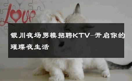 银川夜场男模招聘KTV-开启你的璀璨夜生活 
