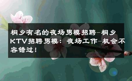 桐乡有名的夜场男模招聘-桐乡KTV招聘男模：夜场工作-机会不容错过！ 