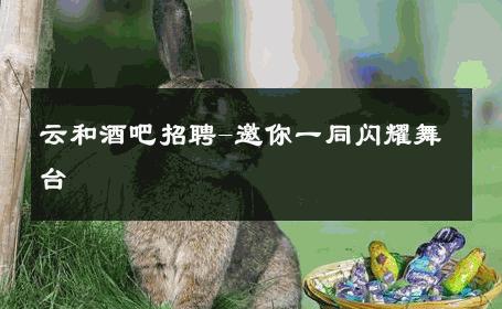 云和酒吧招聘-邀你一同闪耀舞台 
