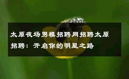 太原夜场男模招聘网招聘太原招聘：开启你的明星之路 