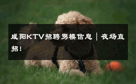 咸阳KTV招聘男模信息｜夜场直招！ 