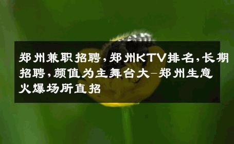 郑州兼职招聘,郑州KTV排名,长期招聘,颜值为主舞台大-郑州生意火爆场所直招