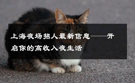 上海夜场招人最新信息——开启你的高收入夜生活 