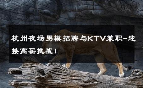 杭州夜场男模招聘与KTV兼职-迎接高薪挑战！ 