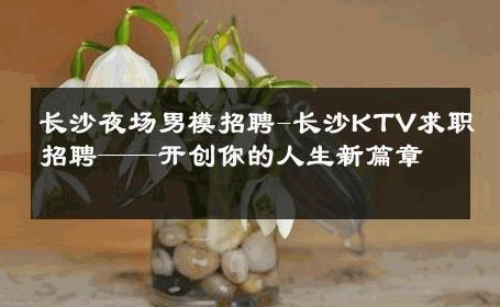 长沙夜场男模招聘-长沙KTV求职招聘——开创你的人生新篇章 