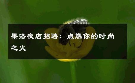 果洛夜店招聘：点燃你的时尚之火 
