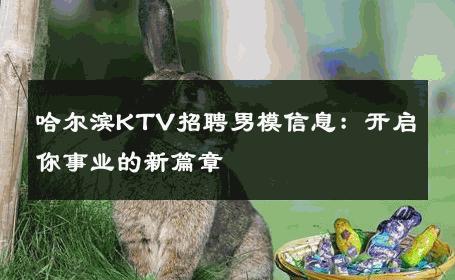 哈尔滨KTV招聘男模信息：开启你事业的新篇章 