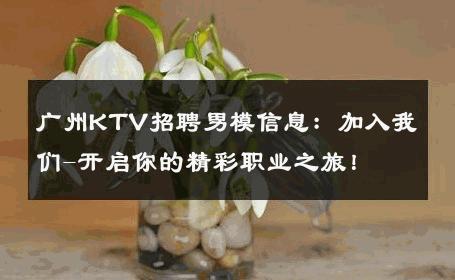 广州KTV招聘男模信息：加入我们-开启你的精彩职业之旅！ 