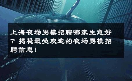 上海夜场男模招聘哪家生意好？揭秘最受欢迎的夜场男模招聘信息！ 
