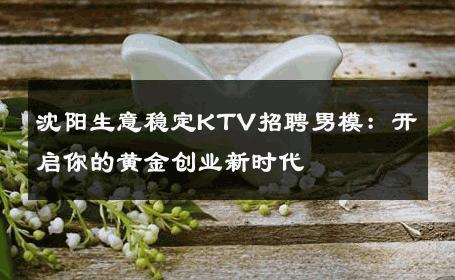 沈阳生意稳定KTV招聘男模：开启你的黄金创业新时代 