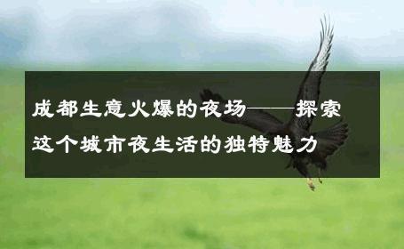 成都生意火爆的夜场——探索这个城市夜生活的独特魅力 