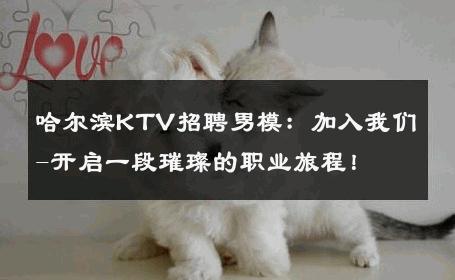 哈尔滨KTV招聘男模：加入我们-开启一段璀璨的职业旅程！ 
