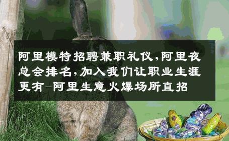 阿里模特招聘兼职礼仪,阿里夜总会排名,加入我们让职业生涯更有-阿里生意火爆场所直招