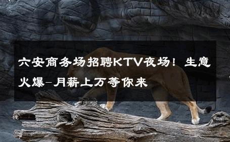 六安商务场招聘KTV夜场！生意火爆-月薪上万等你来 