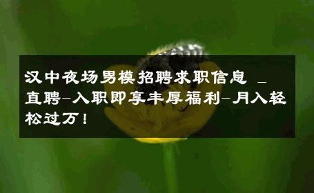 汉中夜场男模招聘求职信息 _ 直聘-入职即享丰厚福利-月入轻松过万！ 